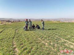 手艺、防止长进行科学指点