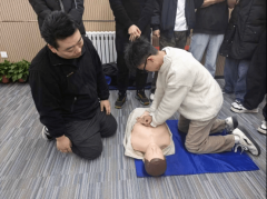 十字会系统了应急救护的根基准绳、心肺苏醒的